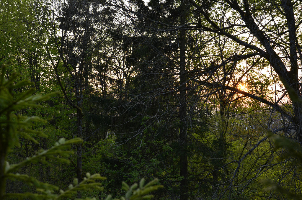 Sitzen inmitten eines Sonnenunterganges