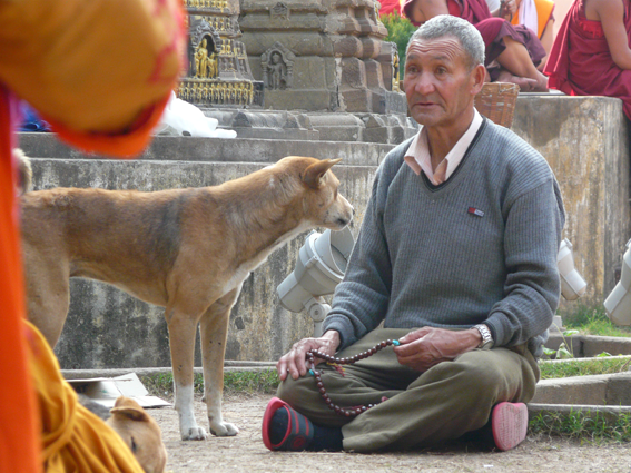 Puja am Bodhi Baum