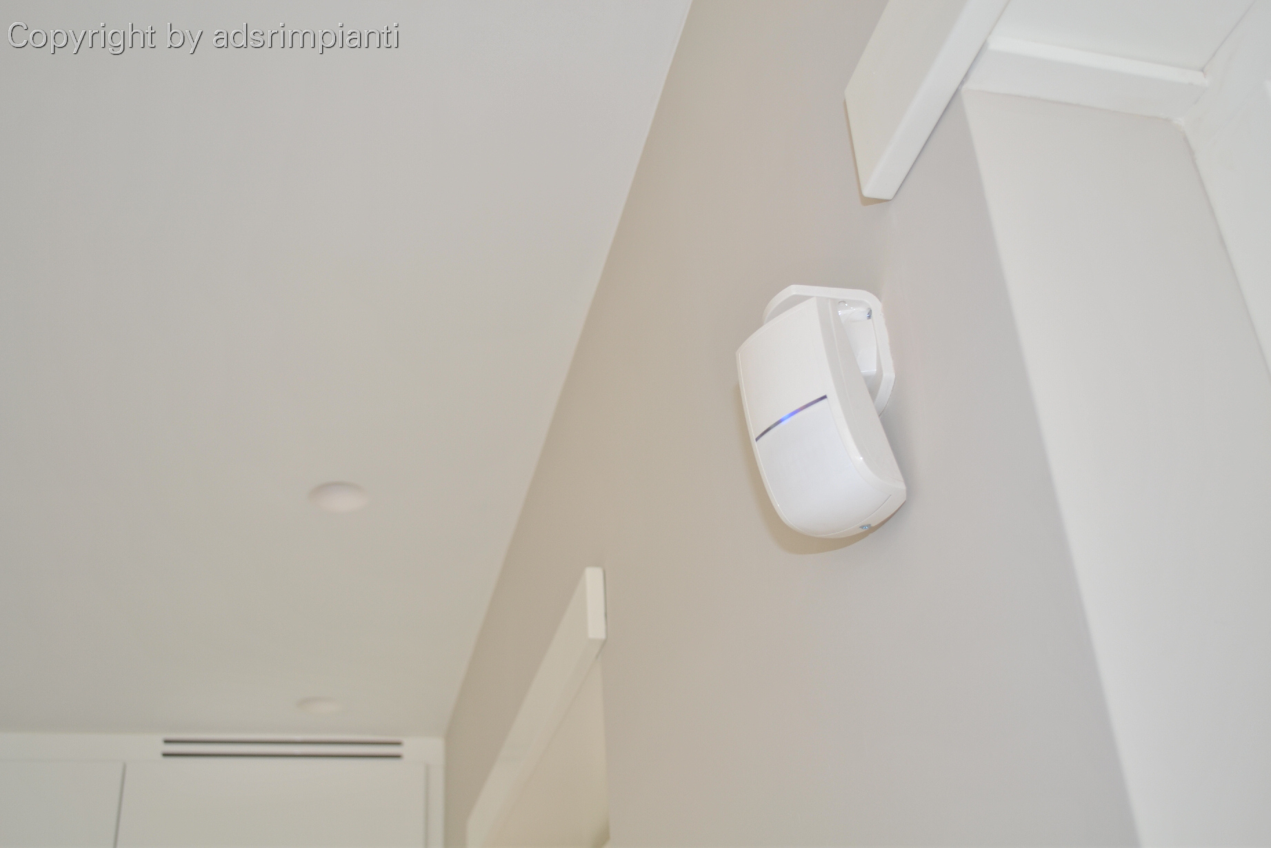 Double technology intruder sensor