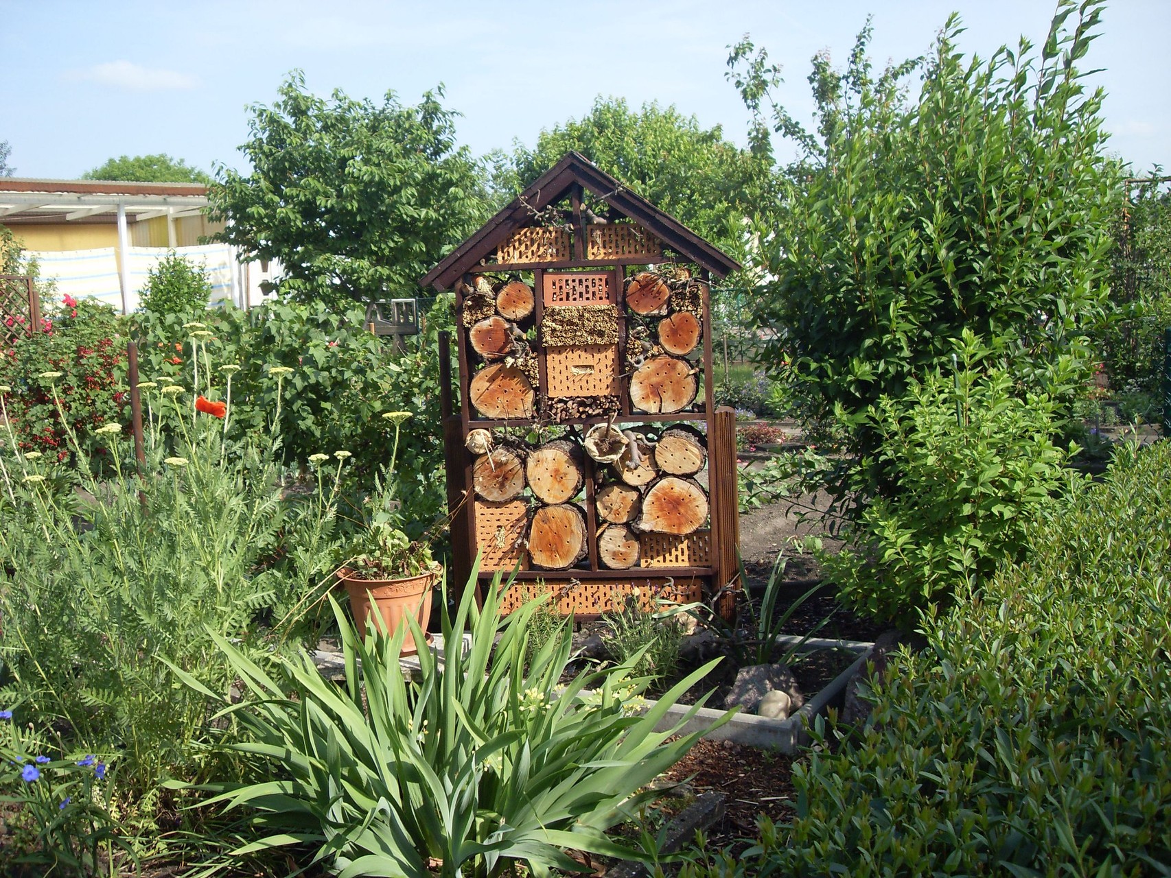 Insektenhotel 2011-1