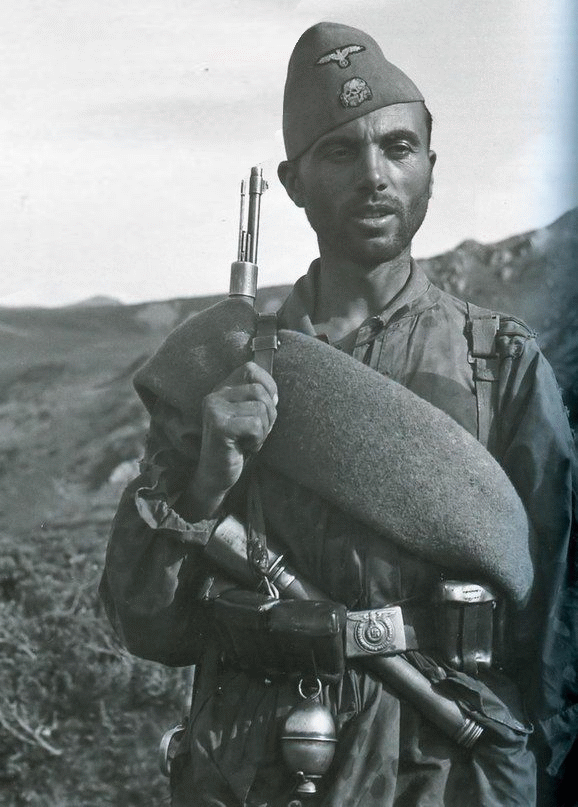 13 Waffen Gebirgs Division Der Ss Handschar