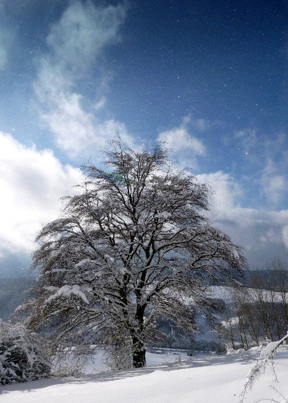 Winterblick von der Fränkischen Linie, Januar 2015