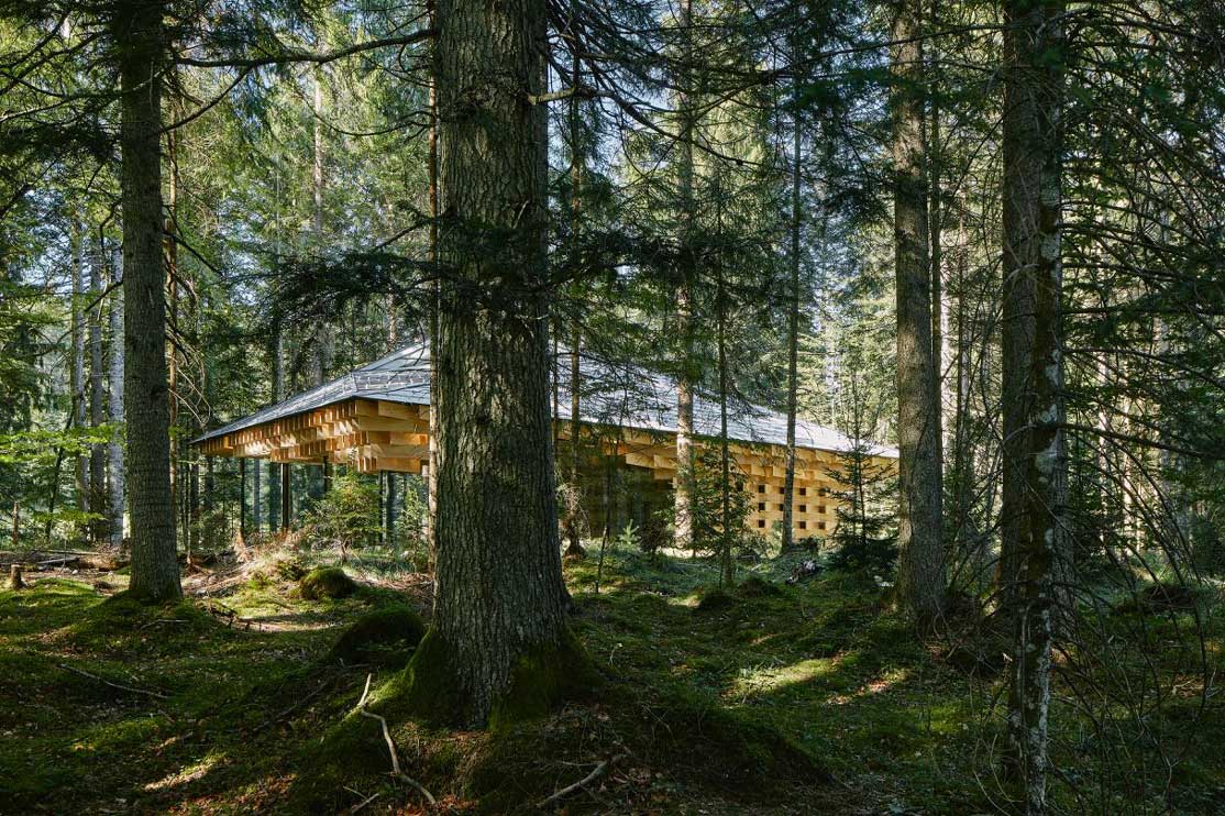 Rückzug in den Wald. Kranzbach Meditation House Fotos: David Schreyer