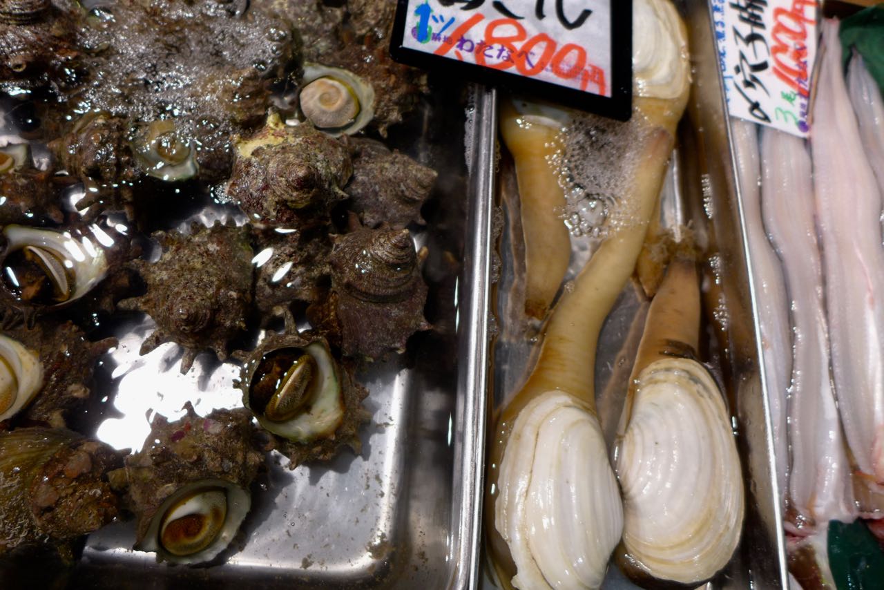 Meeresschecken und mehr, Tokio Tsukiji Outer Market