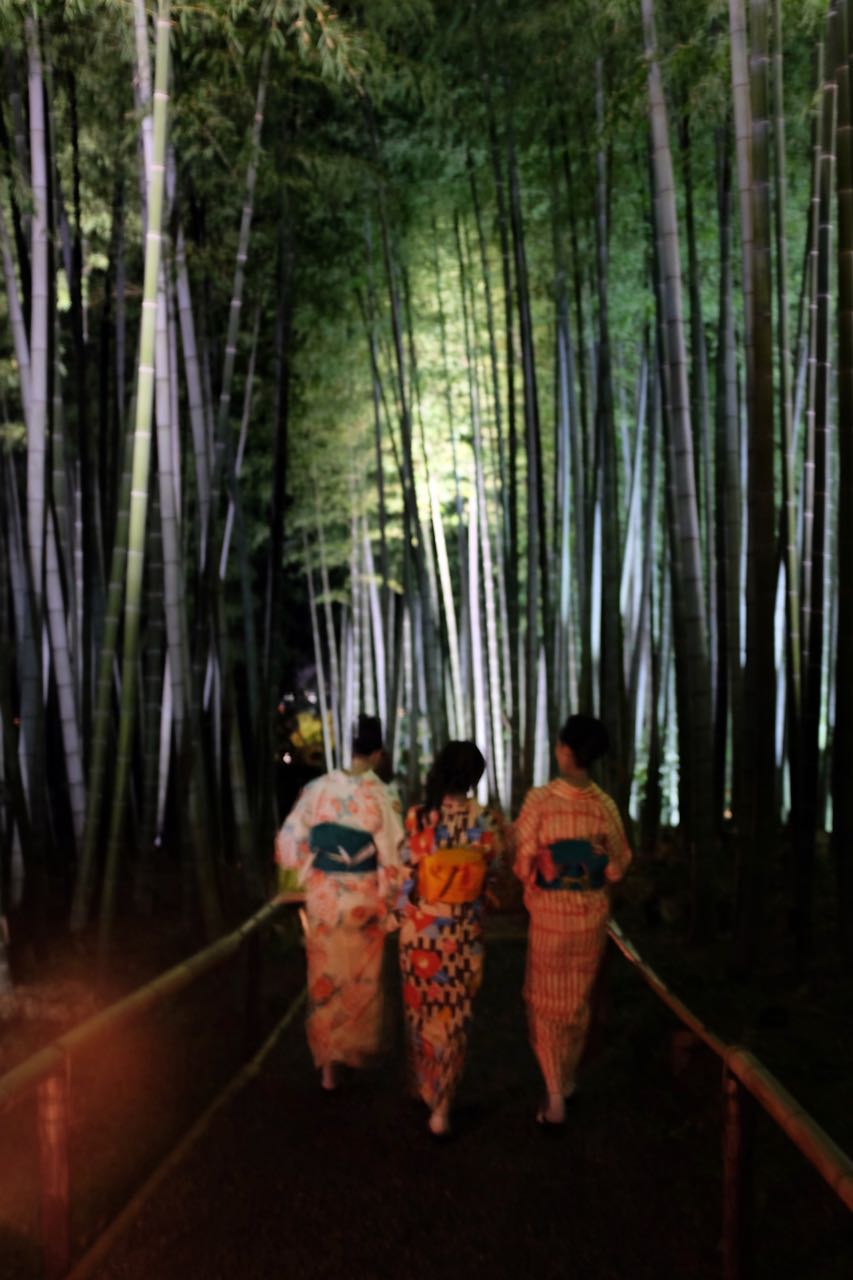  Kyoto Tempel Kodai-ji Night Illumination Event
