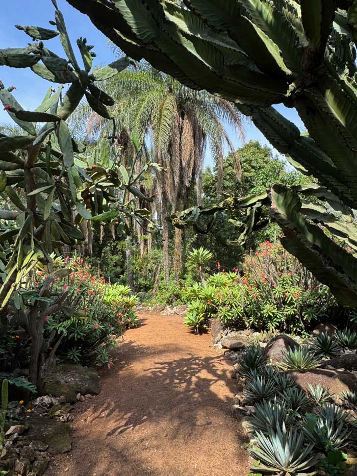 Inhotim Botanischer Kaktusgarten, Minas Gerais, Brasilien
