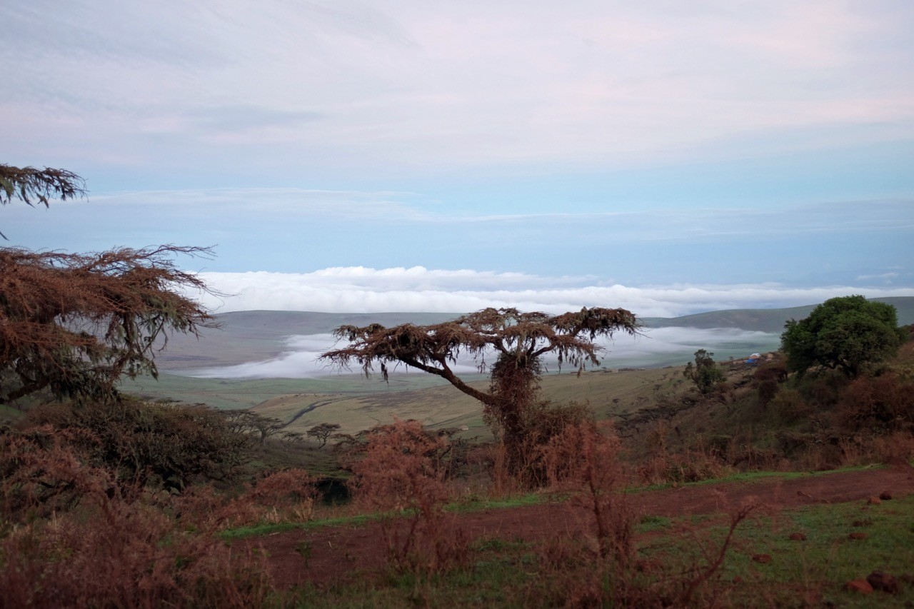 Anfaht zum Ngorongoro Crater zum Sonnenaufgang MorgengrauenGate Tanzania Safari