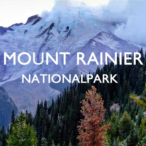 Mount Rainier Nationalpark USA Reisebericht Reiseblog