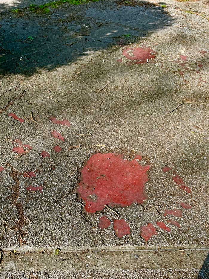 „Sarajevo Roses“ 