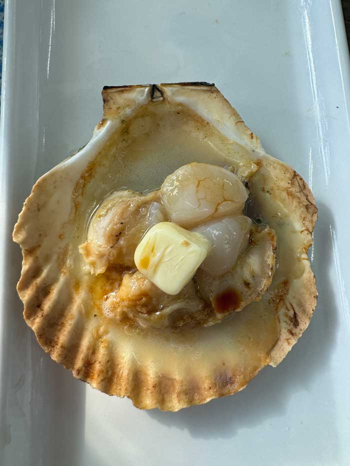 Jakobsmuschel, Uoichi Uoza Seafood Grillrestaurant, Kitsuki Kyushu