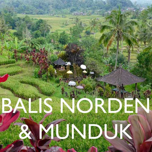 Reisebericht Bali Norden Reiseblog 