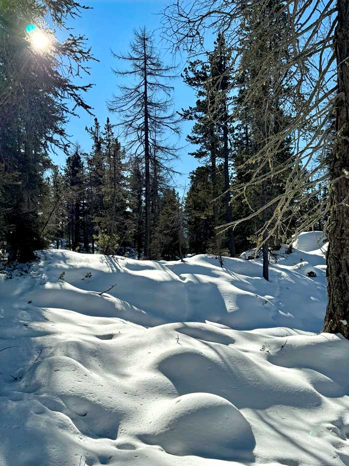 Winterwanderung Heiligkreuzkofel - Badia 