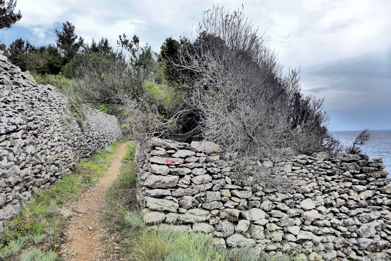 Wandern entlang der alten Trockenmauner auf Losinj