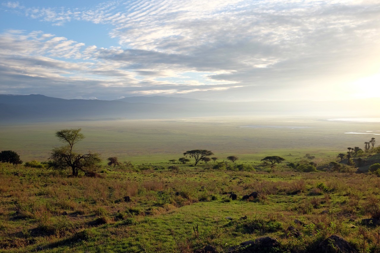 Lanschaft auf dem Weg zum Ngorongoro Gate