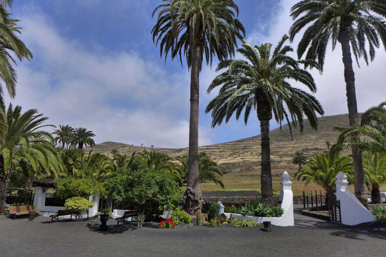 César Manriques Haus Museum im Palmengarten Haría Lanzarote
