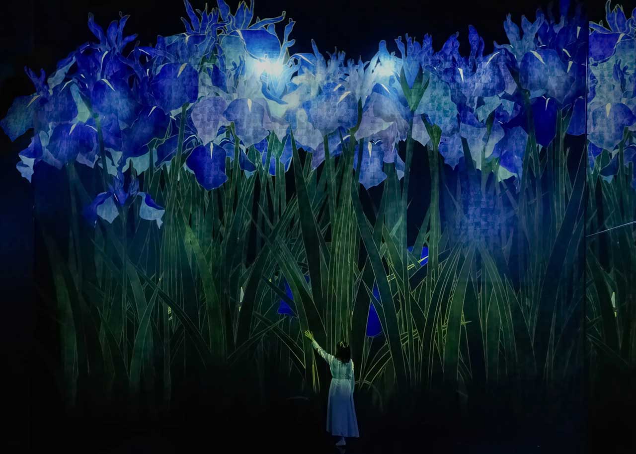  teamLab Biovortex Kyoto, Kyoto ©︎ teamLab