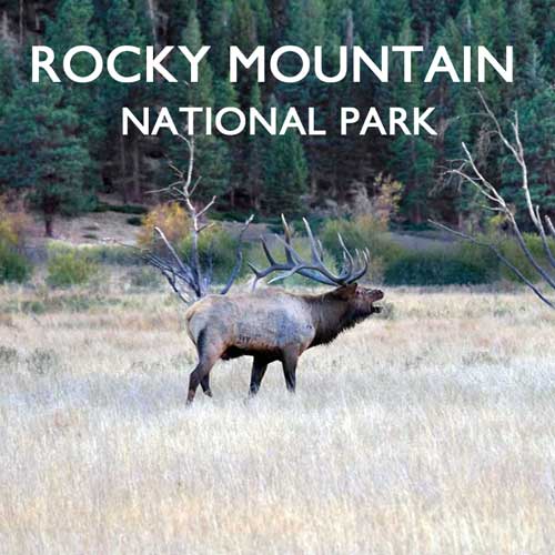 Rocky Mountain Nationalpark USA Reiseblog