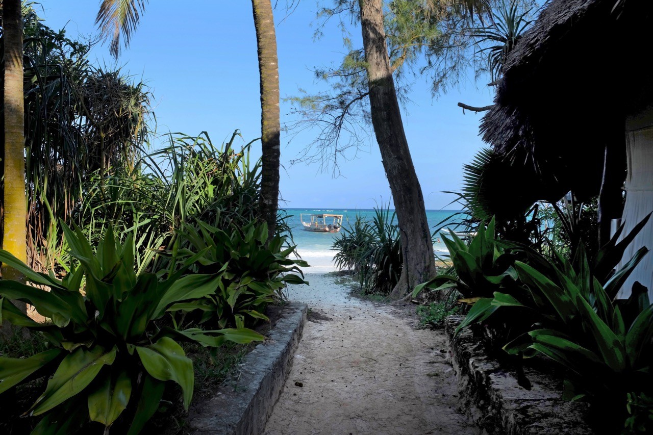 Alle Wege führen zur Matemwe Beach