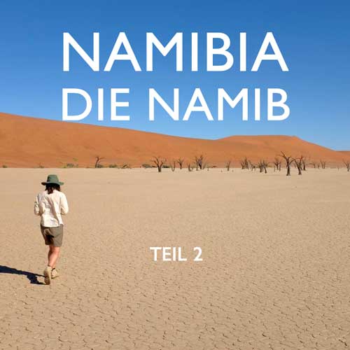 Reisebericht Namibia Namib Reiseblog