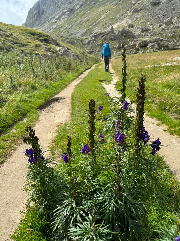 Vajolontal