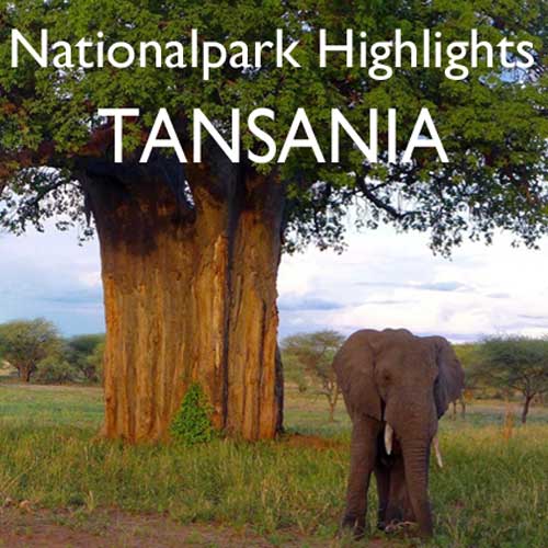 Reisebericht Tansania Safari Norden Reiseblog