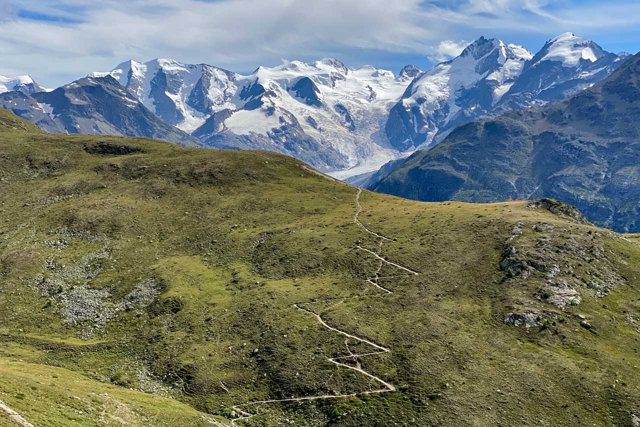 Die Bernina über grüner Alm