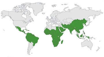 Weltkarte Moringa Verbreitung