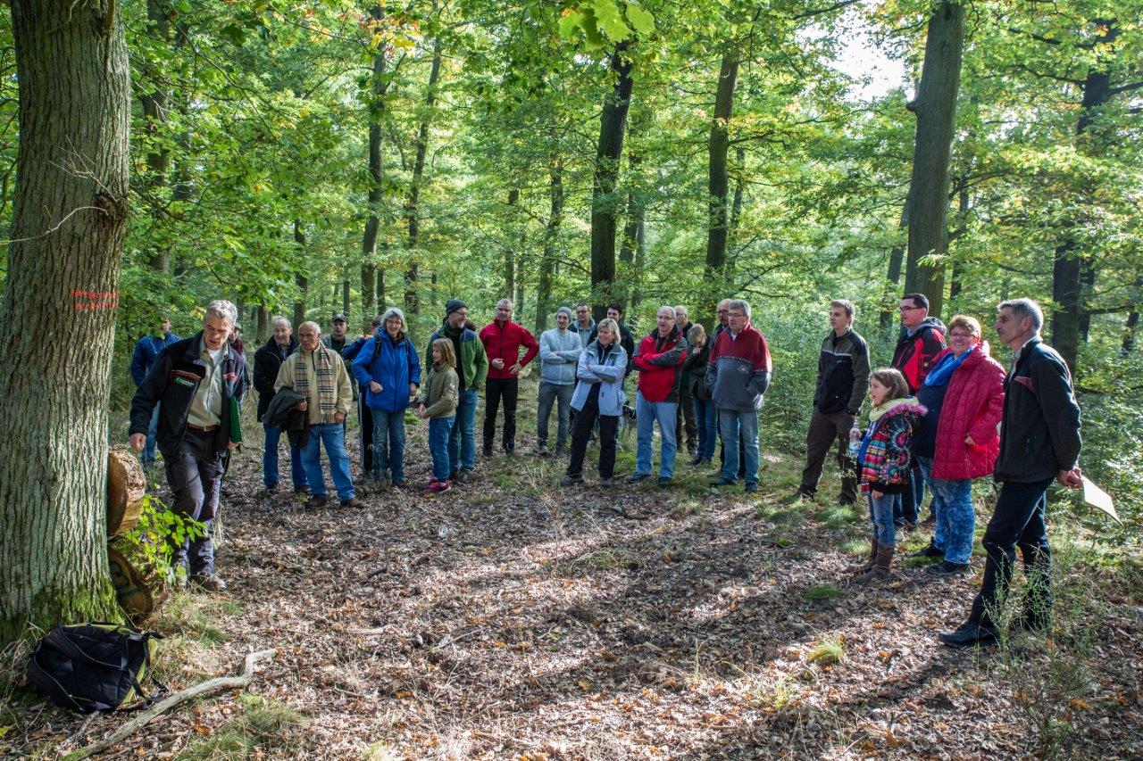 Gemeindewald Sponheim - sponheims Webseite!