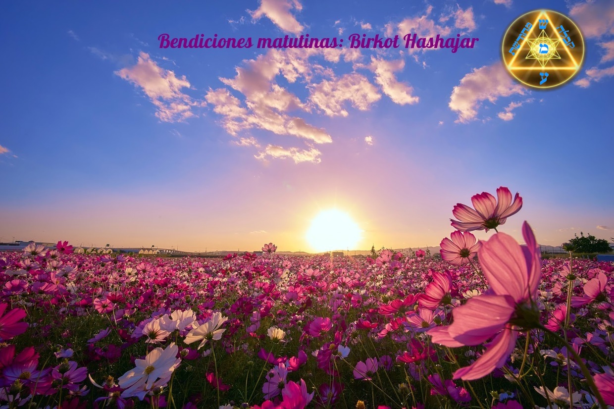 Bendiciones De La Manana Birkot Hashajar Kabalah Renovada Oracion de la mañana la historia de amor más conmovedora registrada en la biblia oseas y. bendiciones de la manana birkot