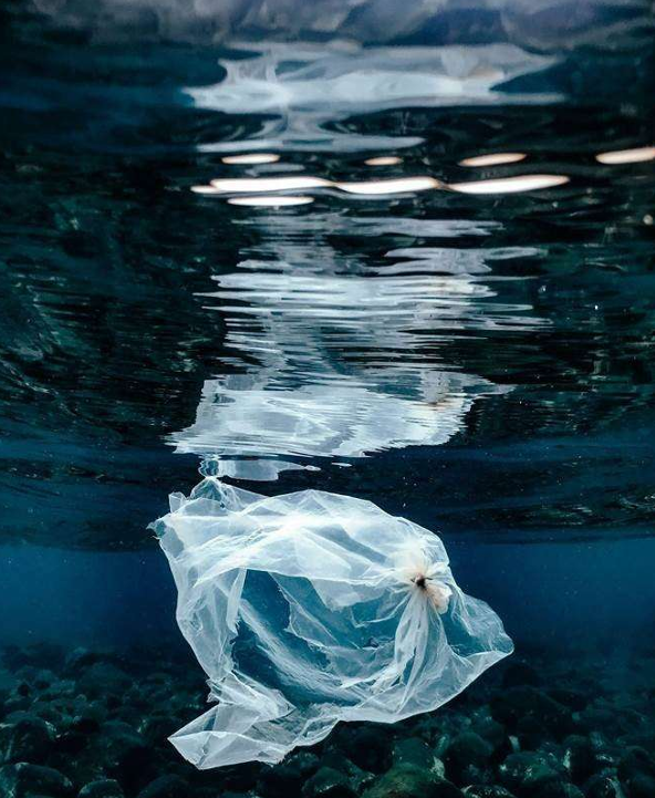 Die Gefahren von Mikroplastik