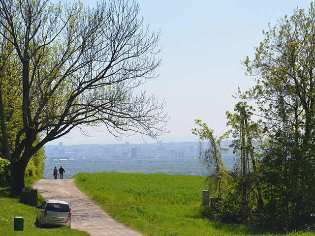 Stadtwanderweg 5-Bisamberg