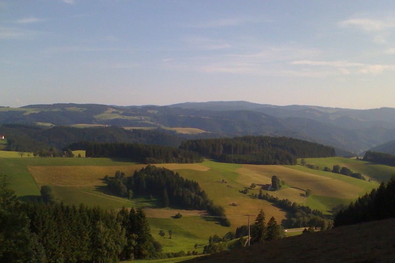 BLICK ZUM FELDBERG