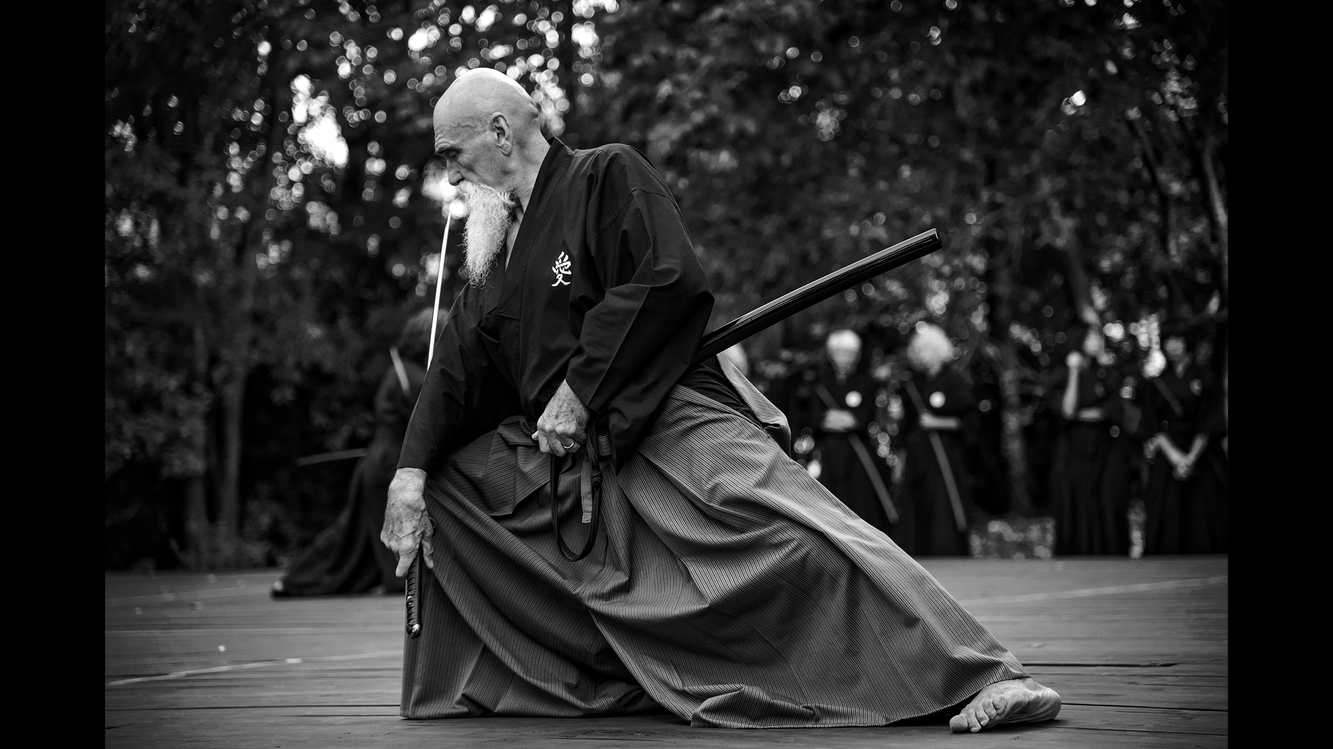 Quando la Pratica diventa Spirituale: Oltre la Tecnica nell’Ai Jutsu e nella Meditazione