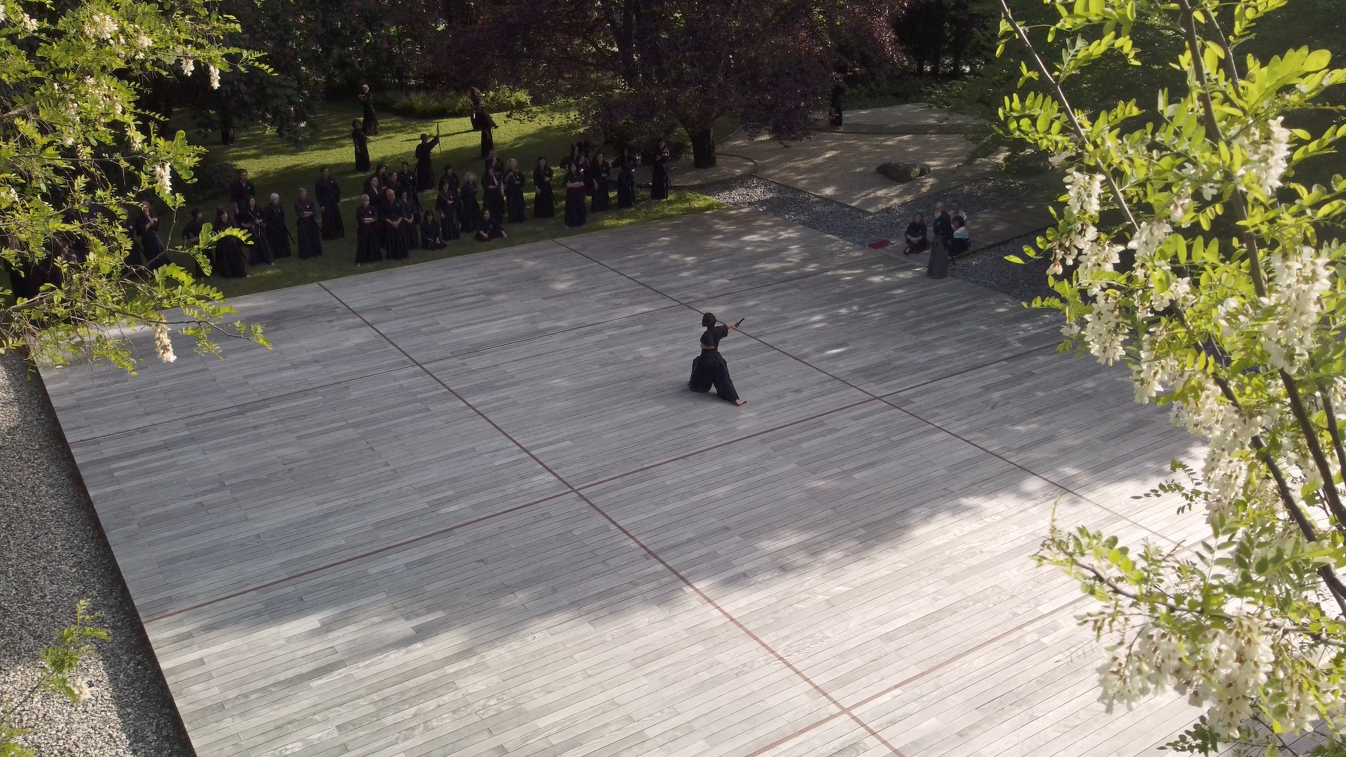 Dojo Maharishi Sathyananda - Pedana - Ai Jutsu
