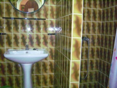 Gîte n°9_Salle de bain (douche)