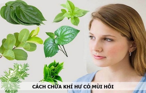 Cách chữa khí hư có mùi hôi