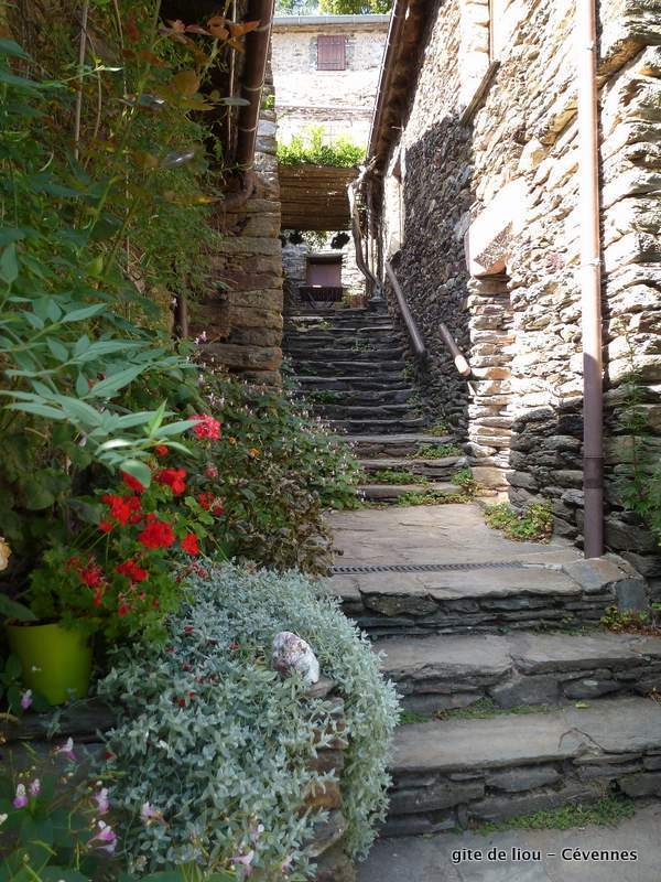 Escalier du mas gite de liou Cevennes