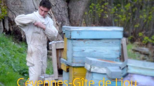 L'apiculteur se prépare