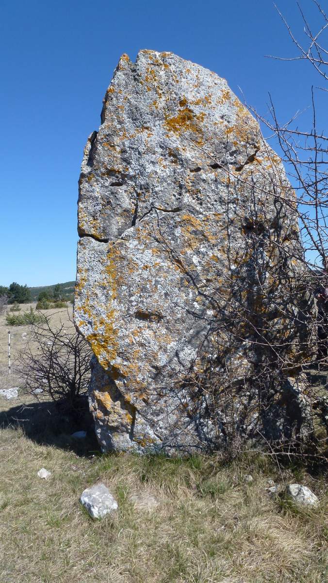 S'interesser à la Préhistoire : Mégalithe du Causse