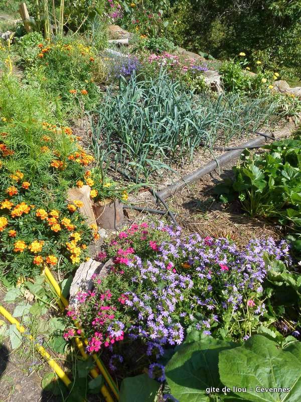 Jardin gite de liou Cévennes