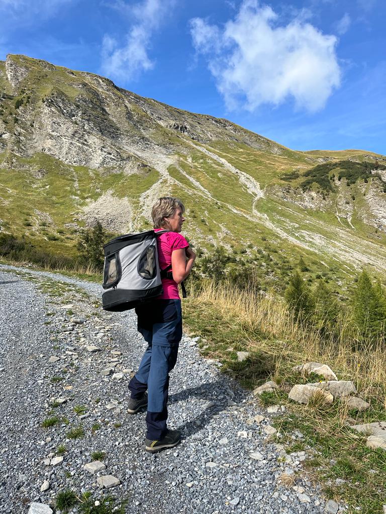 Nala im Rucksack