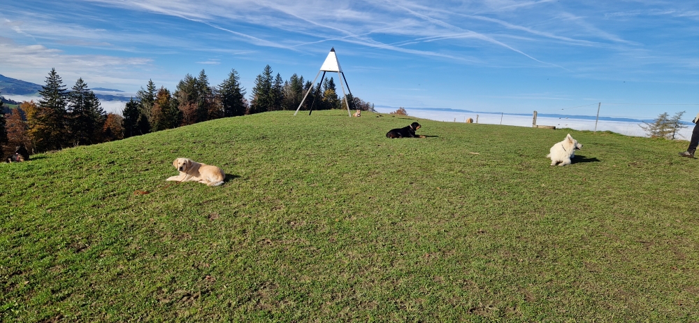Lernspatziergang Bütschelegg