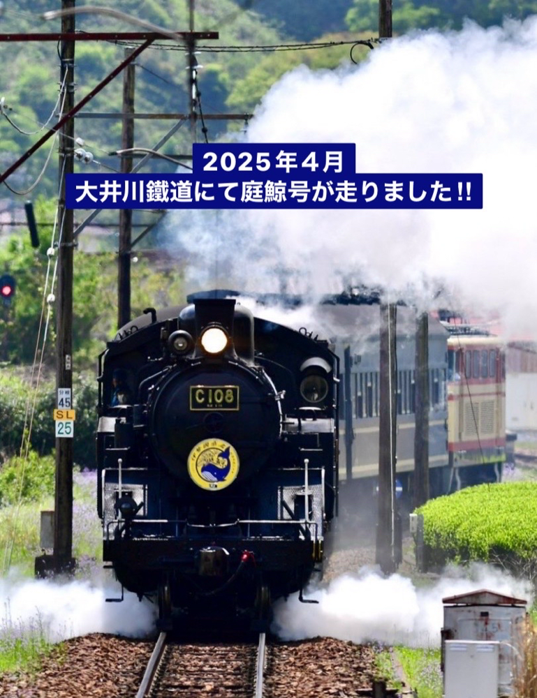 最近の出来事。蒸気機関車庭鯨号！