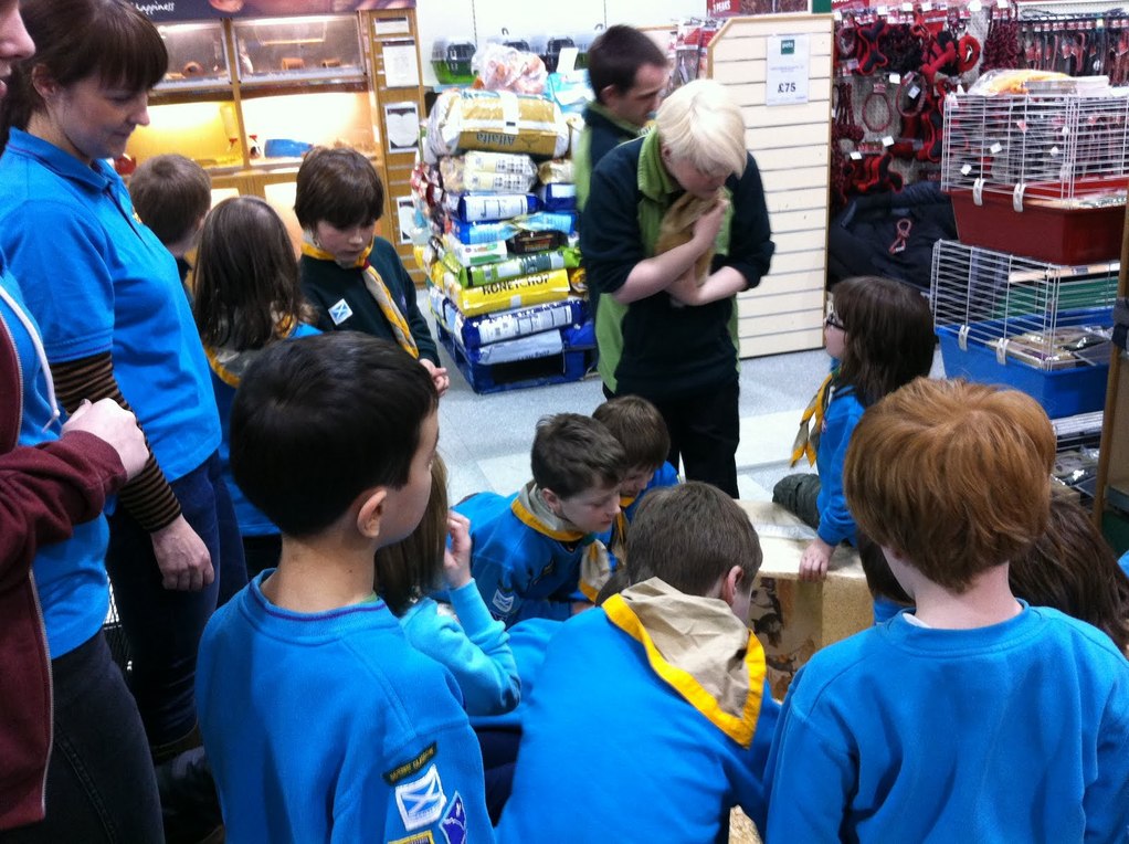 Pets at Home (Drumchapel) Visit