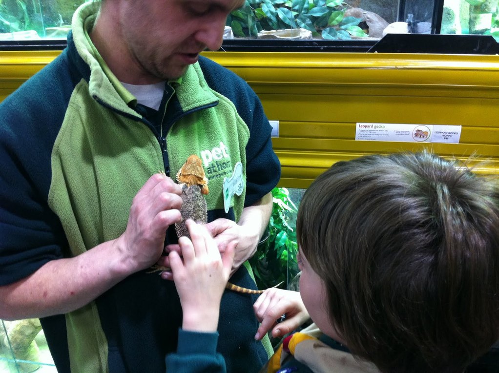 Animal Activity Badge with the Mackay Beavers and Cubs