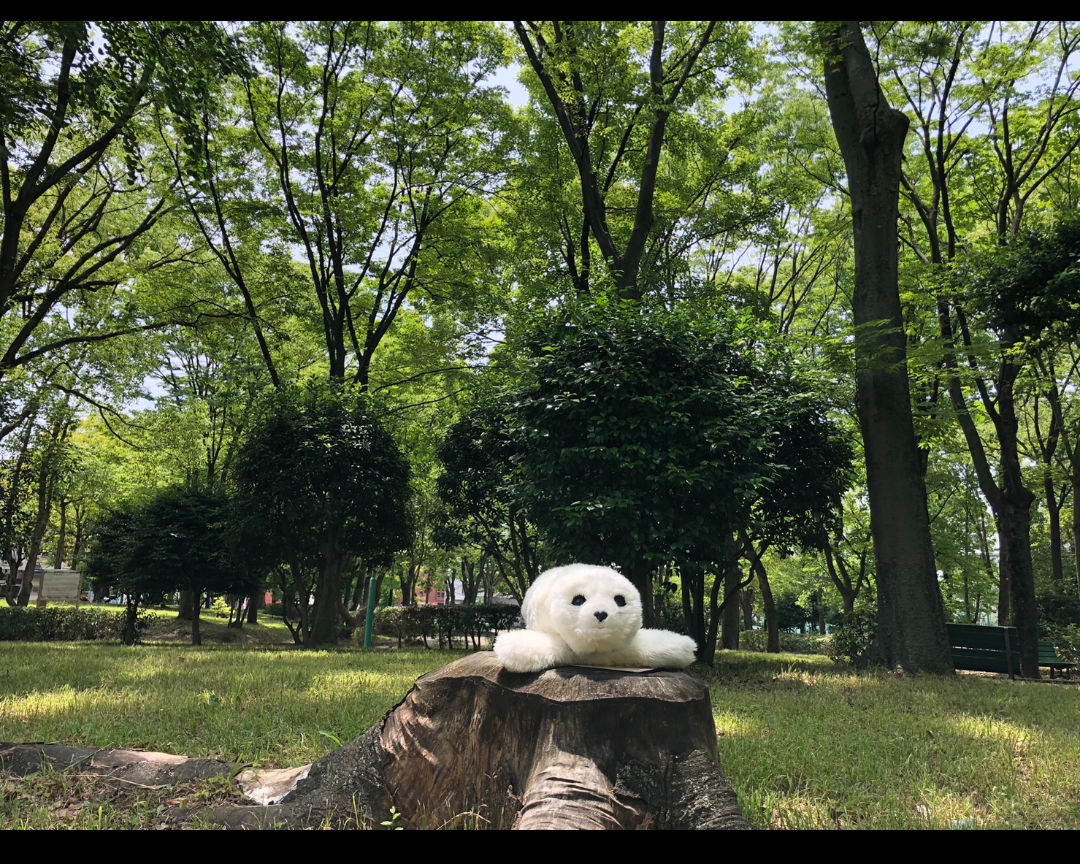 初夏の吹上公園でひと息