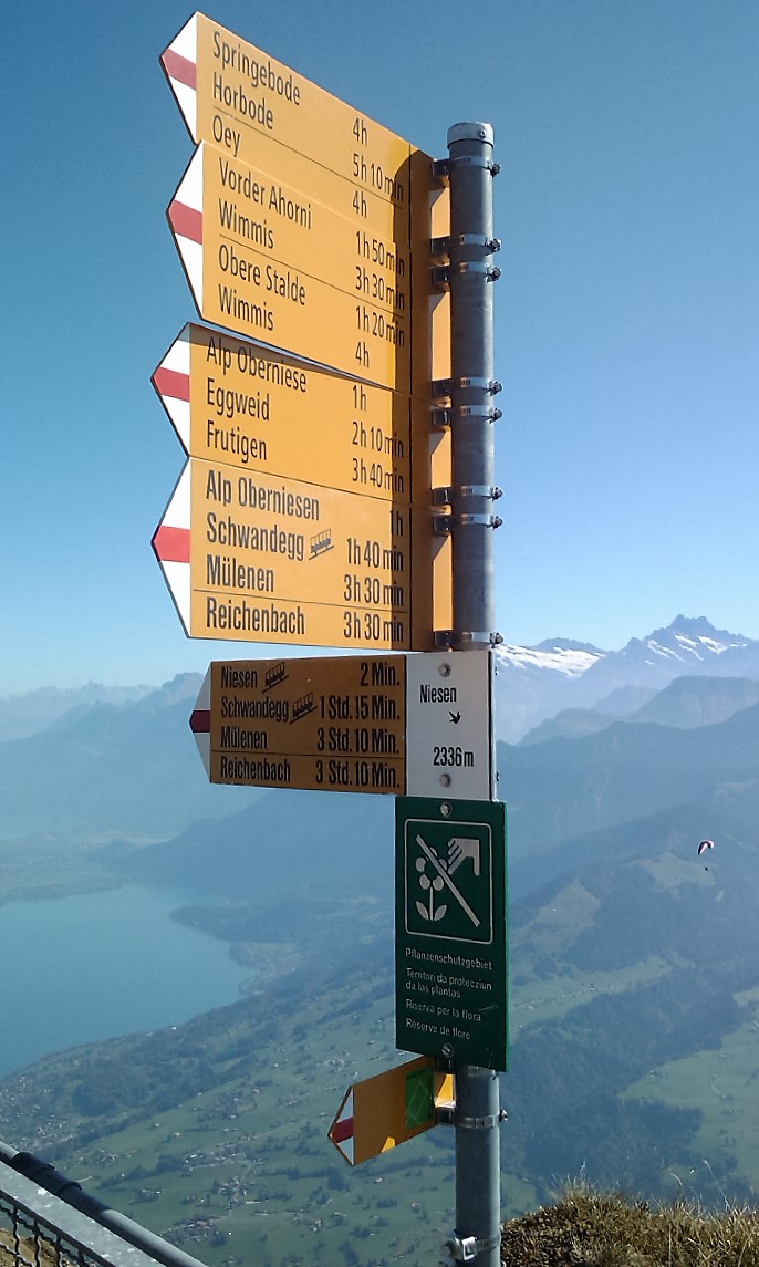 Auf dem Niesen