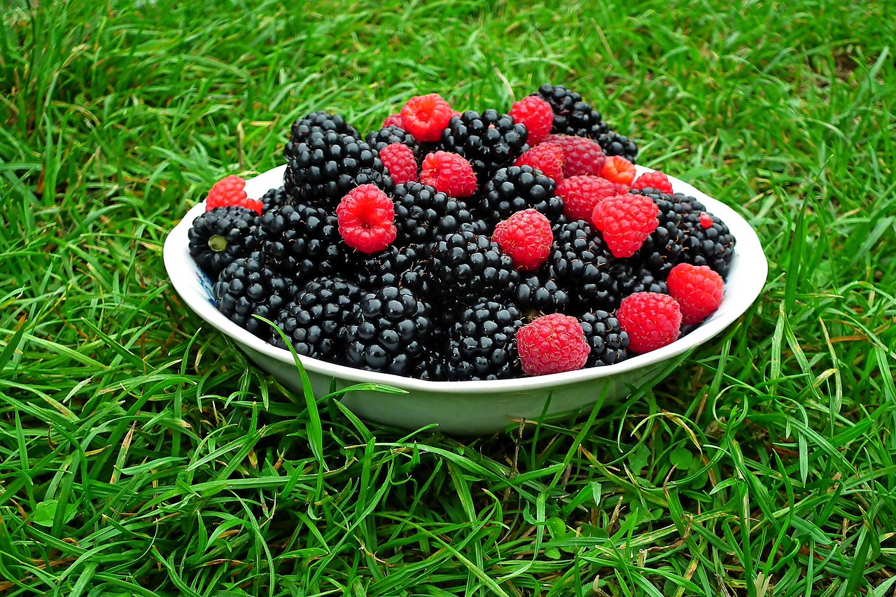 Sommer ist Beerenzeit