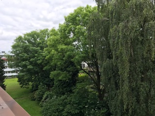 Blick vo der Loggia