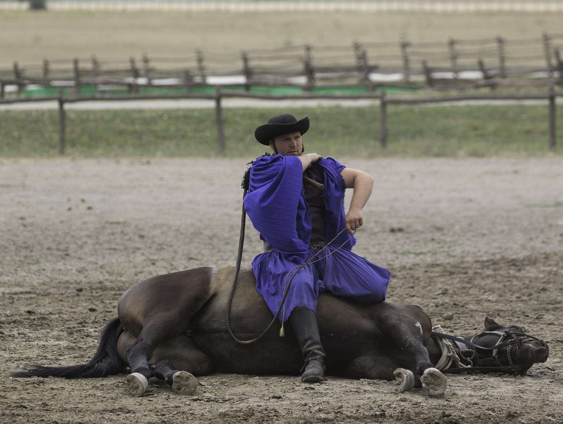 Ausdauer & Beharrlichkeit oder das Reiten toter Pferde